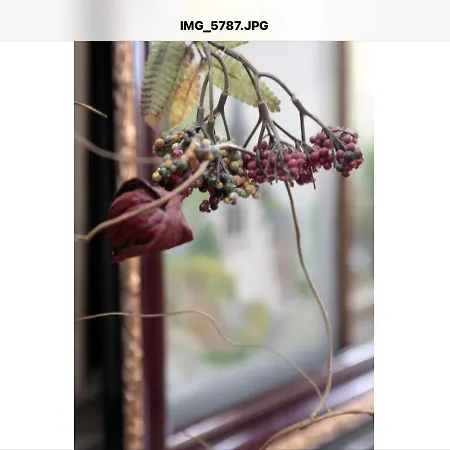 Bed & Breakfast La Maison D'a Cote *